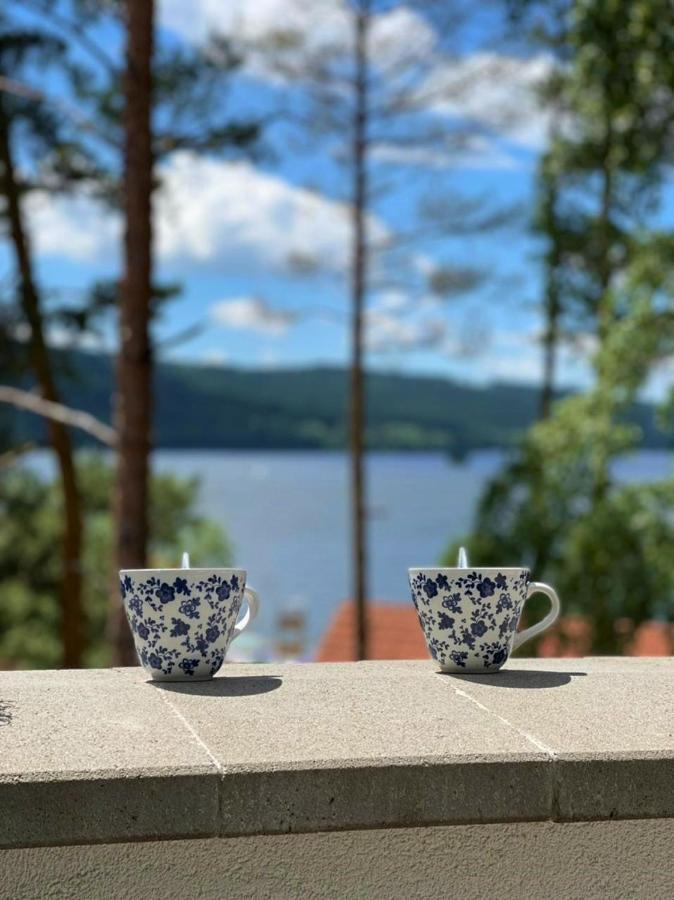 Appartement Apartman Ctyrlistek Lipno à Lipno nad Vltavou Extérieur photo